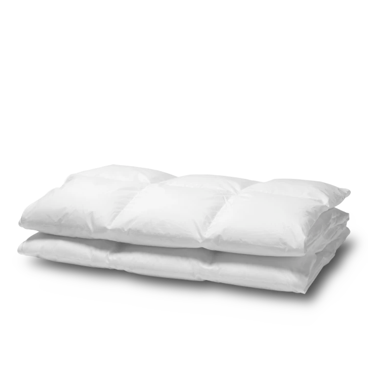 donzen dekbed ganzendons aspen winter zomer